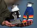 بافتنی های مردی 109 ساله برای پنگوئن ها