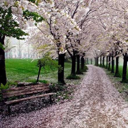 جاده های پریان