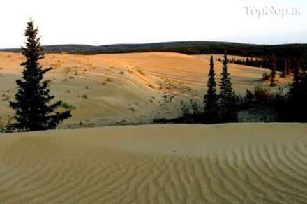 کویر در وسط جنگل های سردسیر آلاسکا