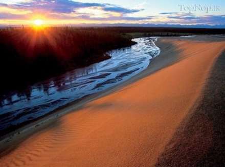 کویر در وسط جنگل های سردسیر آلاسکا