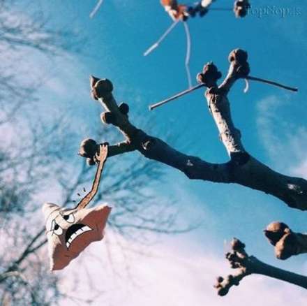 نقاشی های طنز روی عکس