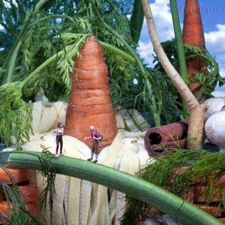 دنیایی مینیاتوری بر روی میوه ها