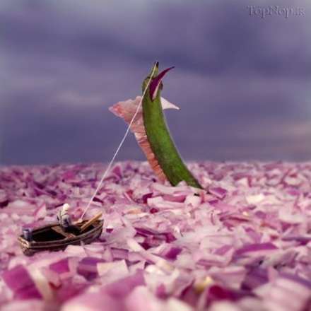 دنیایی مینیاتوری بر روی میوه ها