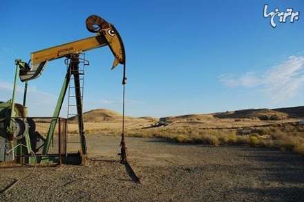 ماجرای باغ وحش آهنی کولینگا