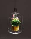 لامپ برای گیاهان