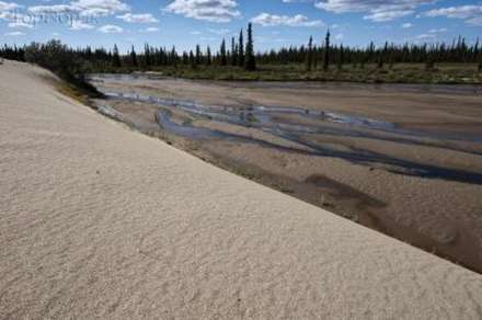 کویر در وسط جنگل های سردسیر آلاسکا