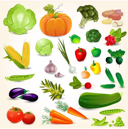 Set of fresh vegetables for your design