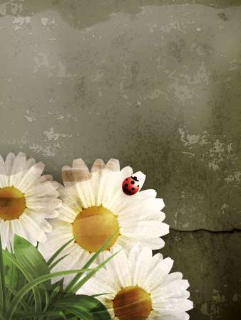 Daisy background, old-style