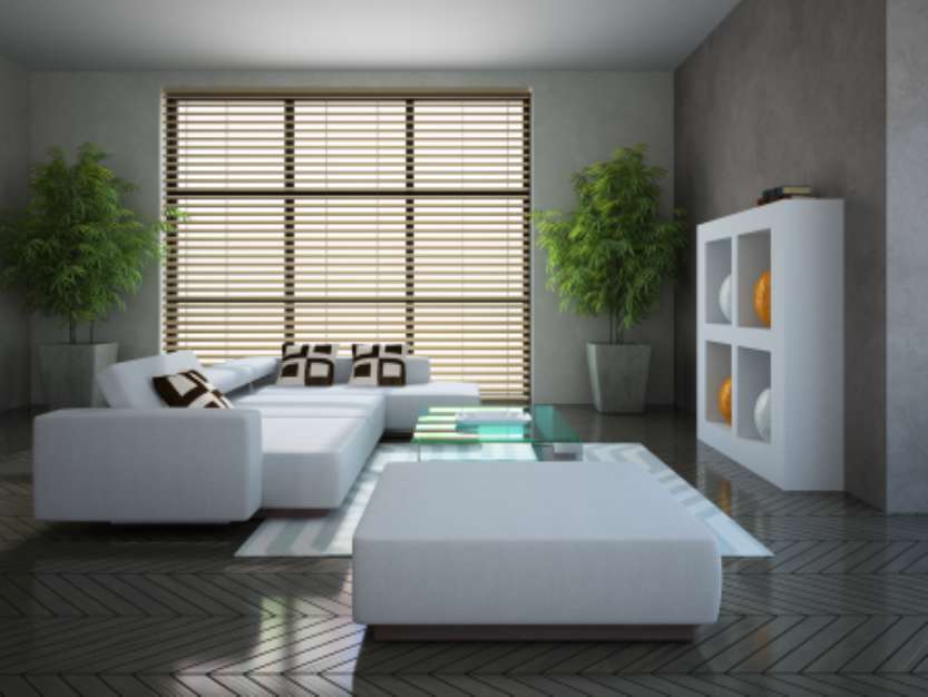 Modern interior with two plants