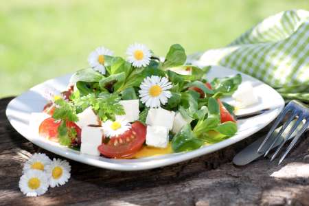 Salat mit Gأ¤nseblأ¼mchen