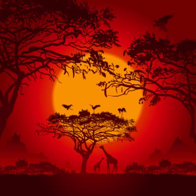 African sunset