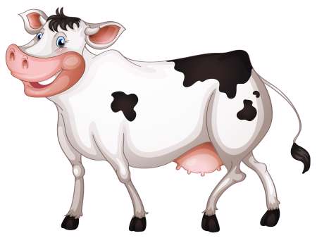 Cow