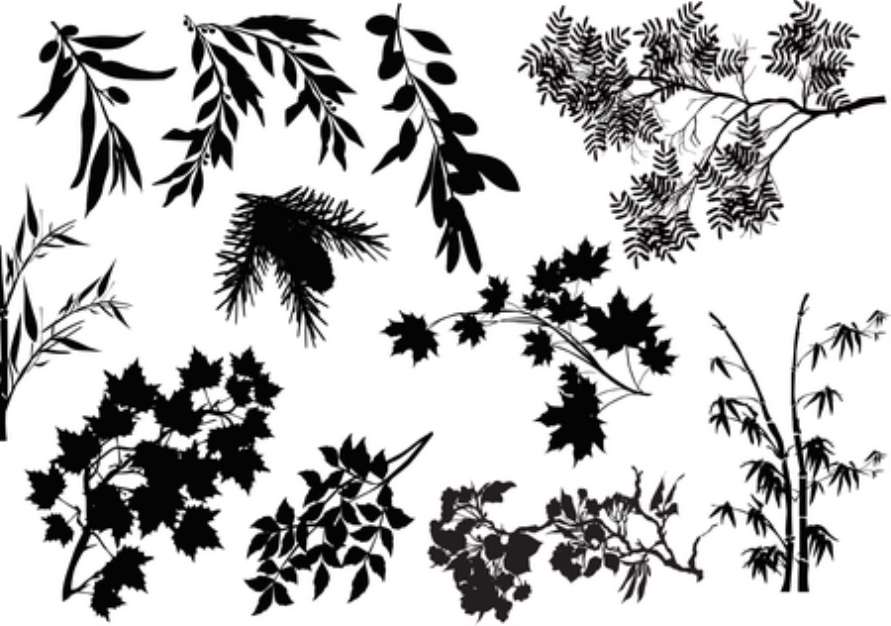black tree branches collection