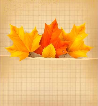 Autumn background with leaves. Back to school. Vector illustrati