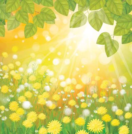 Vector of sunny background with dandelions and green leaves.