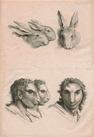 چهره سازی انسان بر اساس حیوانات