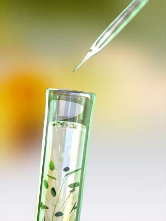 lab experiment