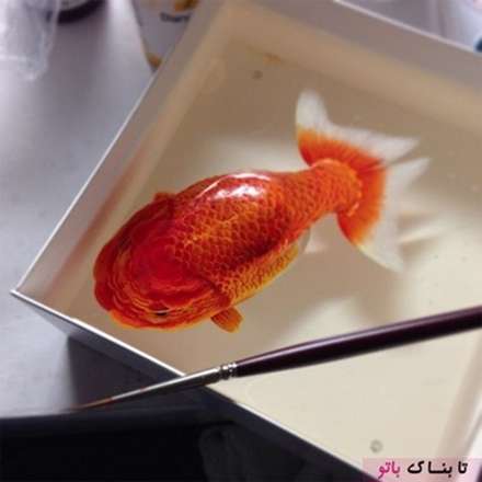 نقاشی های سه بعدی باورنکردنی از موجودات دریایی