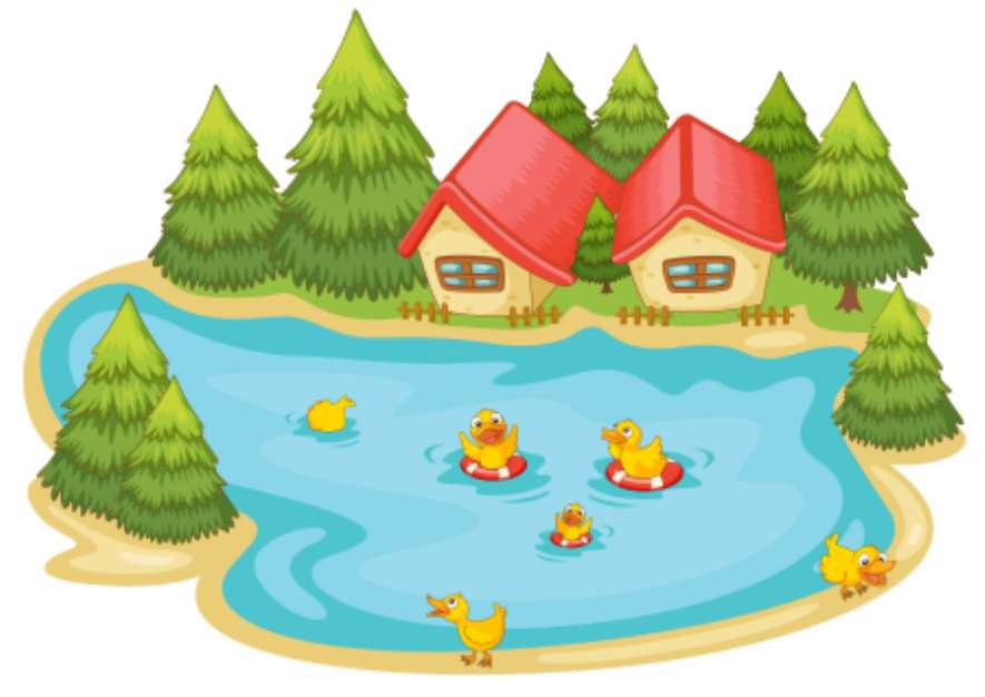 duckling in a pond