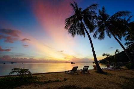 Beautiful sunrise at Beach with palms