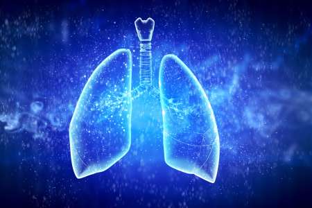 Schematic illustration of human lungs