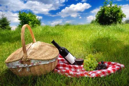 Picnic