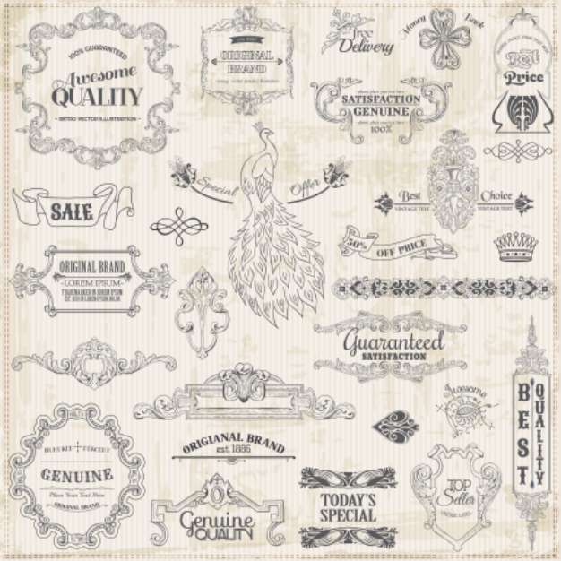 Vector Set: Calligraphic Design Elements and Page Decoration