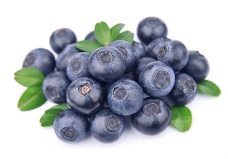 Blueberries with leaves