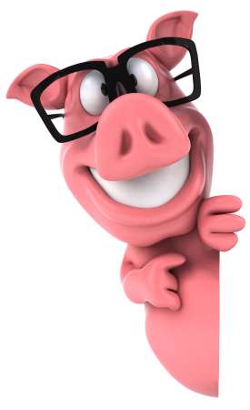 Fun pig