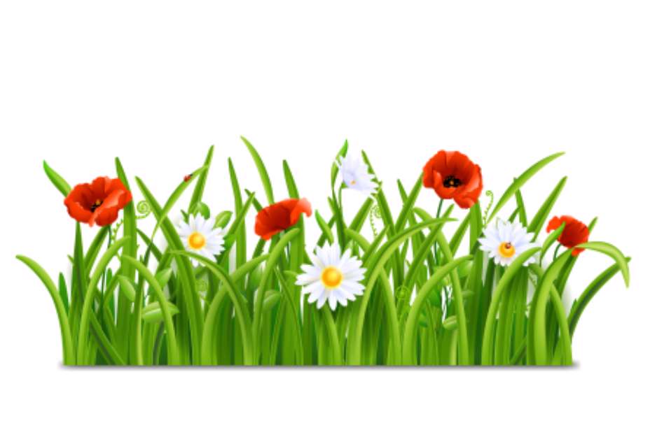 Green grass