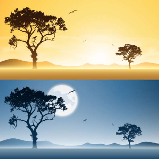 Two Landscapes Day and Night with Moon and Sunset, Sunrise