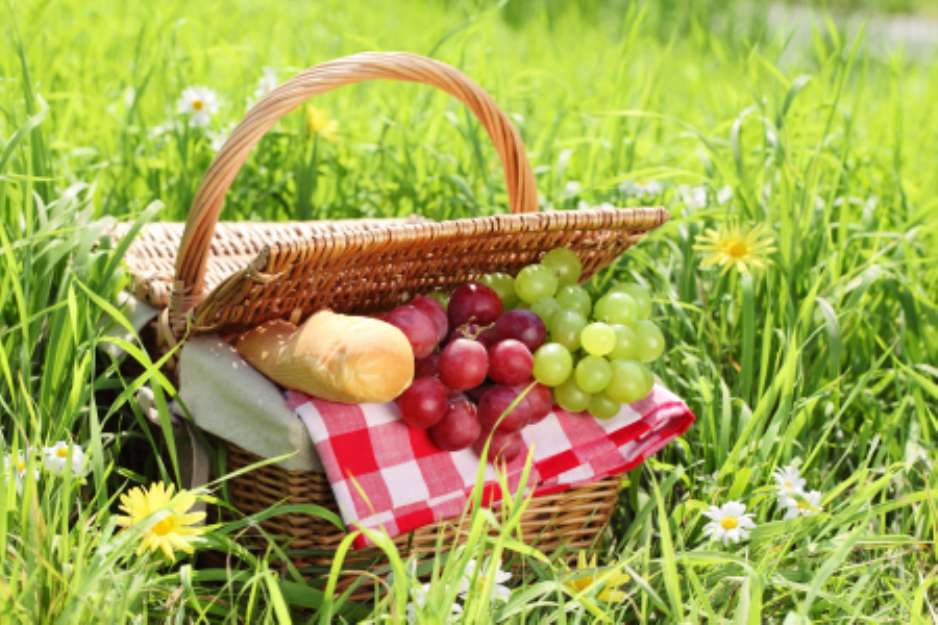 Picnic