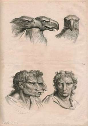 چهره سازی انسان بر اساس حیوانات