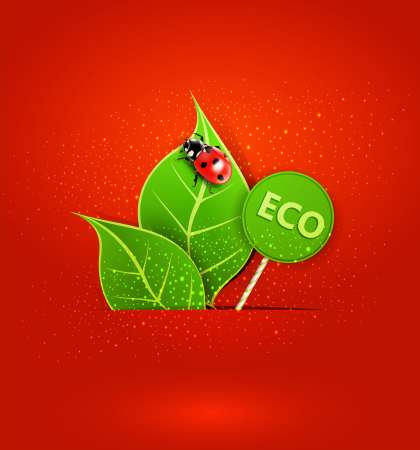 vector red background with leafs and ladybird