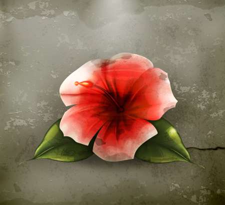 Flower red, old-style vector
