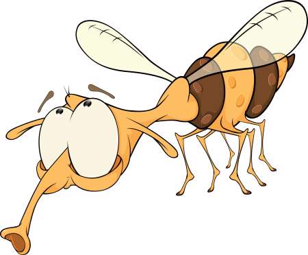 Bee