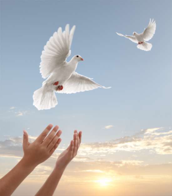 freedom