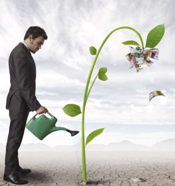 Businessman and a plant of money