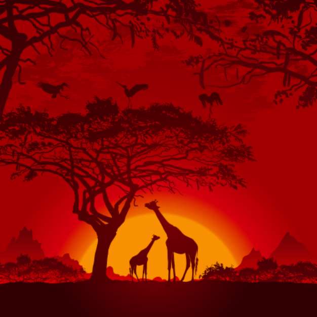 African sunset