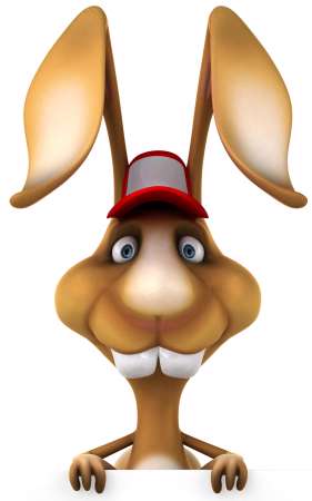 Fun rabbit