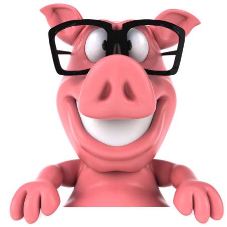 Fun pig