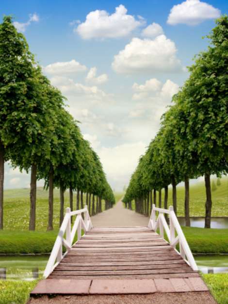 Bridge and Path