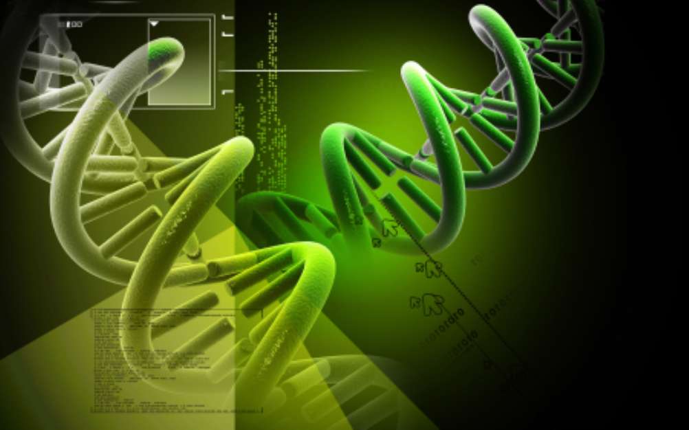 dna