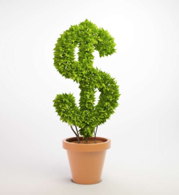 Pot plant shaped like a dollar sign