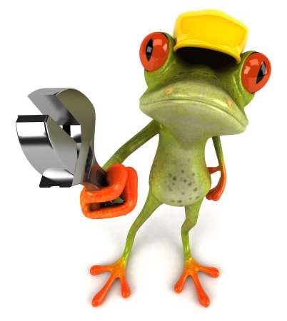 Grenouille de chantier
