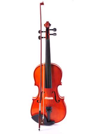 Violin