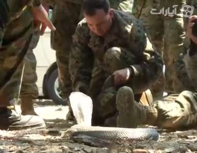 تمرین وحشتناک سربازان آمریکایی