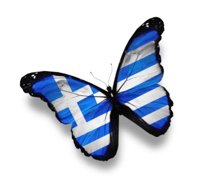 Greek flag butterfly, isolated on white