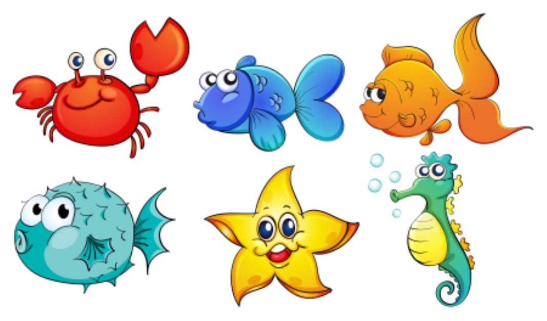 The different sea creatures