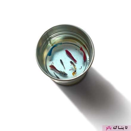 نقاشی های سه بعدی باورنکردنی از موجودات دریایی